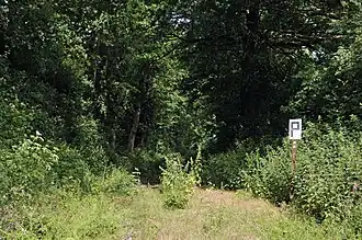 Nur die Pfeiftafel lässt unter der üppigen Vegetation noch die Gleise erahnen.