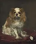 Édouard Manet: King Charles Spaniel