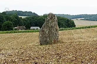Menhir des Rivaux