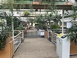 Das Bild zeigt einen Gang mit Sitzplätzen und Zimmerpflanzen.