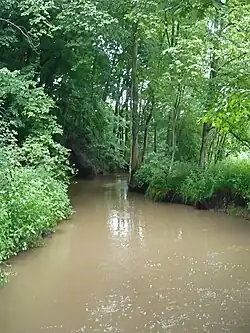 Hochwasser führende Ölschnitz kurz vor der Mündung in den Roten Main