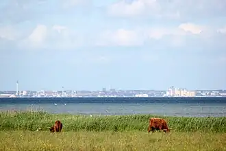 Blick über den Öresund von Dänemark nach Schweden