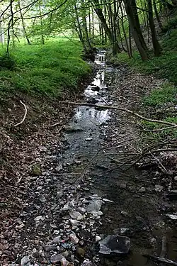 Erster Zufluss des Wildenrother Mühlbachs vom Rainberg unterhalb von Schloss Wildenroth