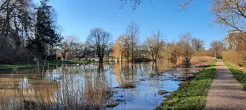 Überschwemmung der Schwartau am Kurpark am 26. Februar 2022, Pegelstand = 2,2 Meter.