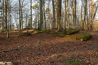 Felsgruppe im Gipfelbereich