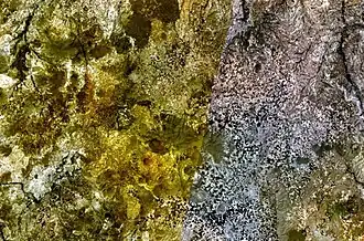 Maare, Lavadome, basaltische Lavaströme und Aschekegel. Acıgöl-Nevsehir. Bild: NASA (Landsat)