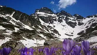 Das Trogtal von Maljowiza im Frühling