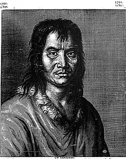 Porträt eines Samojeden