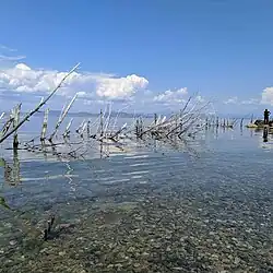 Flusslandschaft unter blauen Himmel