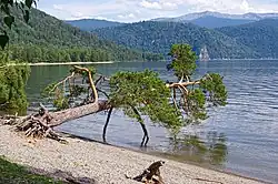 Die Quellen des großen Ob