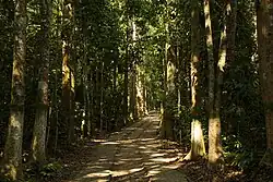 Beispielbild Lawachara-Nationalpark