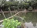 Einfache Bambusbrücke, Bangladesch