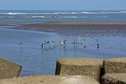 Mündungsgebiet des Dajia-Flusses