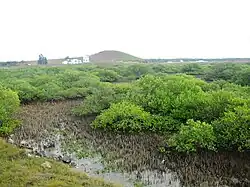 Qingluo-Feuchtgebiet