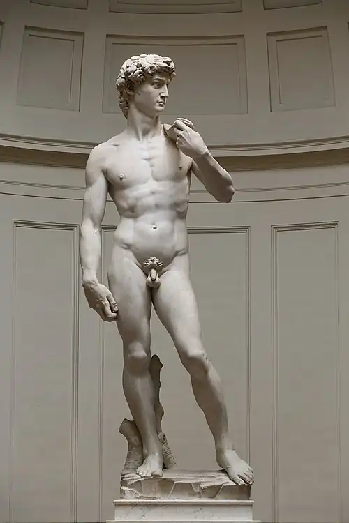 Michelangelo: David