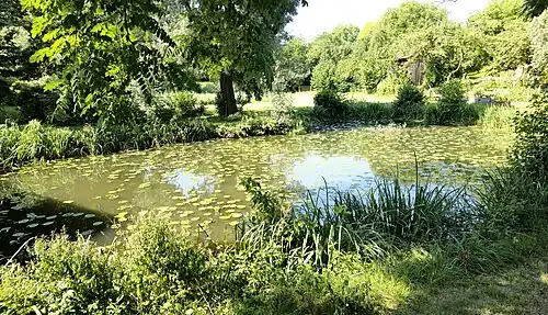 Der sogenannte Ostermeier-Weiher