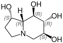 Strukturformel von (+)-Castanospermin