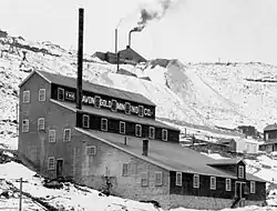 The Avon Gold Mining Co
