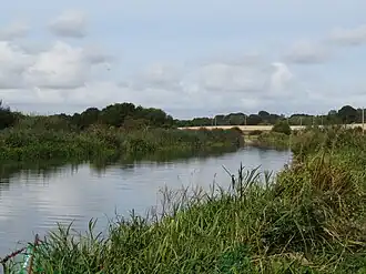 North Walsham und Dilham Kanal bei Witton Bridge