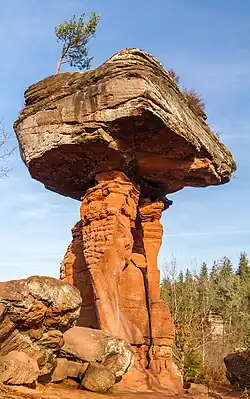 Teufelstisch: Sandsteine des Buntsandsteins (Trias) des Pfälzerwaldes