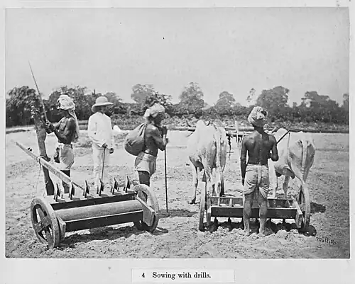 Aussaat mit Drillmaschinen (1877)