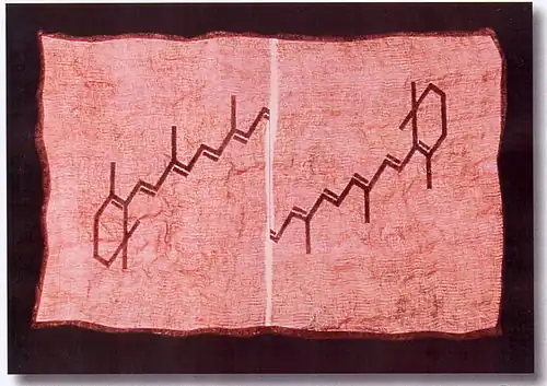 Provitamin A Materialdruck 1500 x 1060