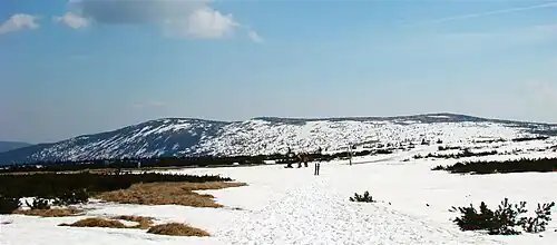 Die Elbwiese in Nähe der Elbquelle