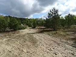 Naturerbefläche Region Wesendorf