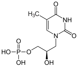 1-[(2S)-1-(2,3-Dihydroxy)pro­pyl]thymin­phosphat