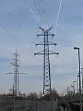 110-kV-Tannenbaummast mit Erdseilhörnern für zwei Erdseile