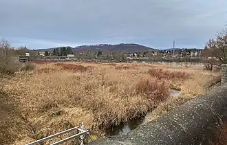 Kolbeterberg über den Rückhaltebecken Auhof
