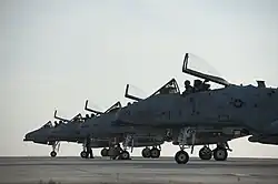 Mehrere A-10 Thunderbolt II der 81st Fighter Squadron von und auf der Spangdahlem Air Base im April 2008
