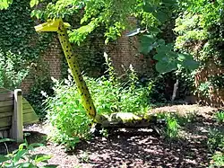 Critters, 1982–2006