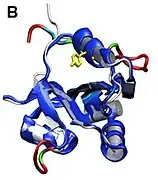 Vorhergesagte Rep-Struktur von BSL-RDHV