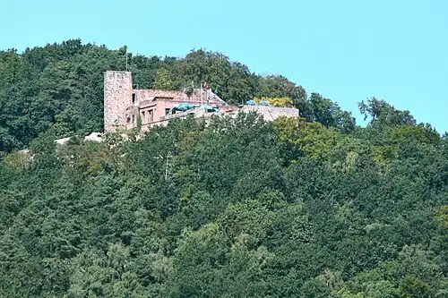 4. Laufziel: Rietburg (530,8 m)