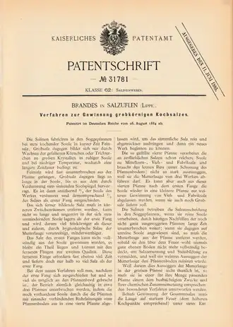 Patentschrift No. 31781 des Kaiserlichen Patentamts, Brandes in Salzuflen (Lippe): „Verfahren zur Gewinnung grobkörnigen Kochsalzes.“
