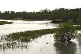 Hochwasser im Sauer-Delta