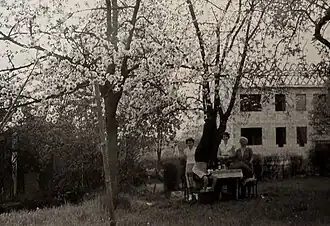 Blick auf die Neubauten in der Asternstraße (1955)