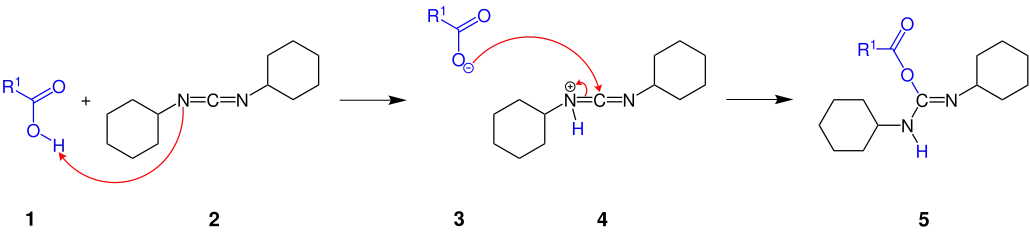 Teilschritt des Mechanismus der Steglich-Veresterung