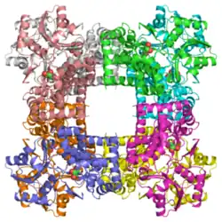 Glycerin-Dehydrogenase