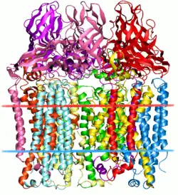 Methan-Monooxygenase (Methylococcus capsulatus)