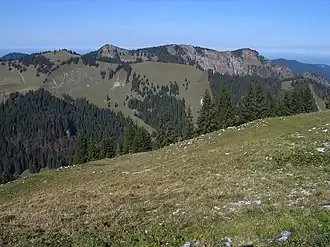 Kampen Spitzkamp – Auerkamp Ochsenkamp von Süden (Hochplatte)