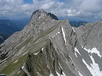 Der Risser Falk vom Steinfalk