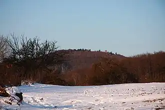 Blick von Osten zum Kellerskopf mit Aussichtsturm&nbsp;…