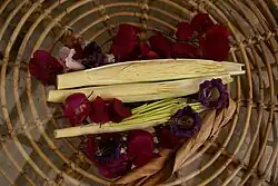 Pacaya (Chamaedorea tepejilote u.&nbsp;a.) (ungeöffneter, männlicher Blütenstand)