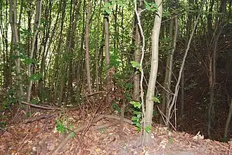 Historischer Erdwall Schlossbuck