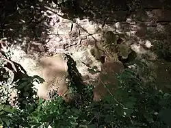 Teil der überwucherten Mauer mit angelehntem Grabstein in Kreuzform