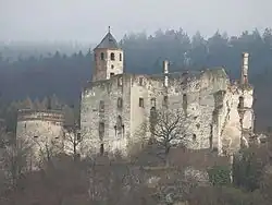 Burg Hohenegg bei Hafnerbach