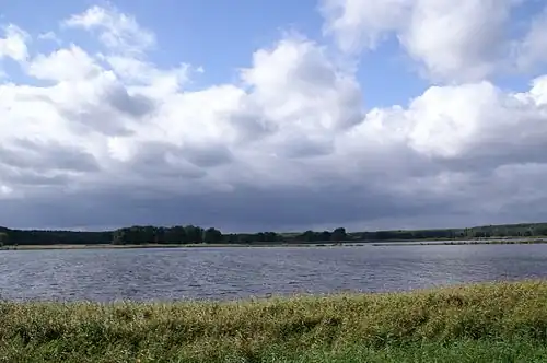 Blick über die Blumberger Teiche