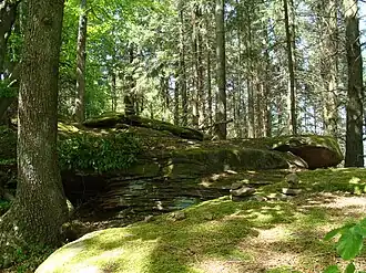 Gipfelbereich des Kesselbergs